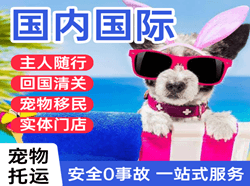 贵阳龙洞堡空运地址国际宠物托运 【国